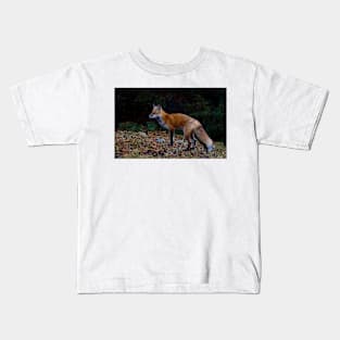 Red Fox - Algonquin Park, Canada Kids T-Shirt